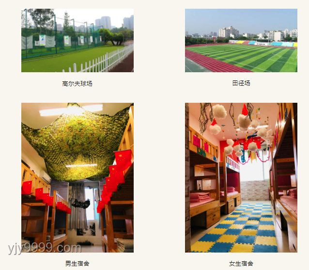 北大教授揭示全国树木家底：1426亿棵的生态洞察